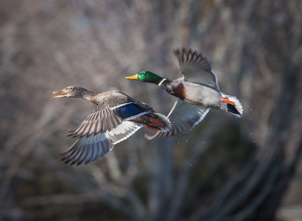 A walk through a cemetery