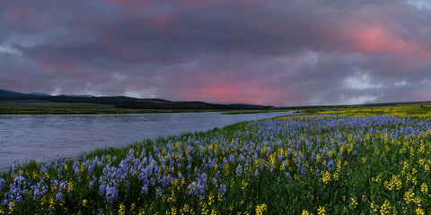 Big Hole River Lullaby