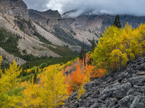 ABC -- Absaroka Beartooth Color