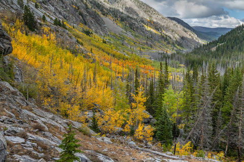 Down the Draw During Autumn