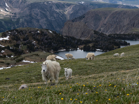Getting A Closer Look