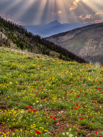 Sunbeams on the Sphinx