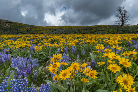 Here Comes the Rain Again