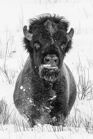 Sticking the Landing