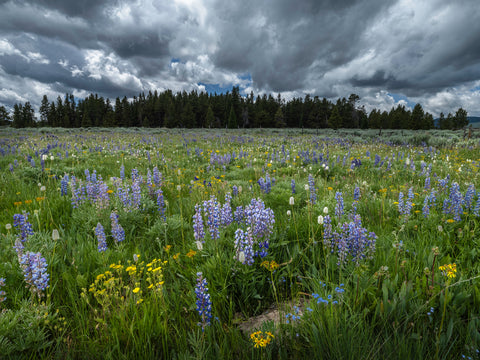 Sun Before the Storm