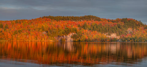 The Final Light of Fall