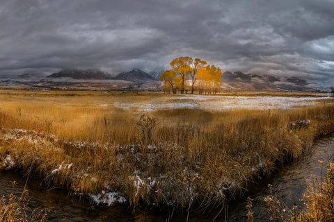 In The Final Light Of Fall