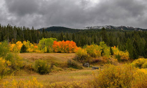 Autumn Homestead