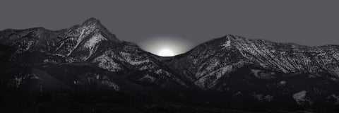 Now Comes The Night  - Limited Edition