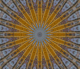 American Painted Lady