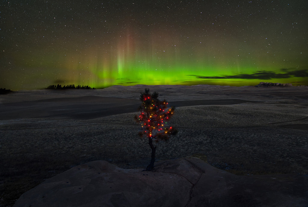 A Tree For Christmas