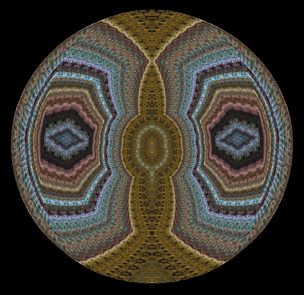 Metamorphosis in The Guardian