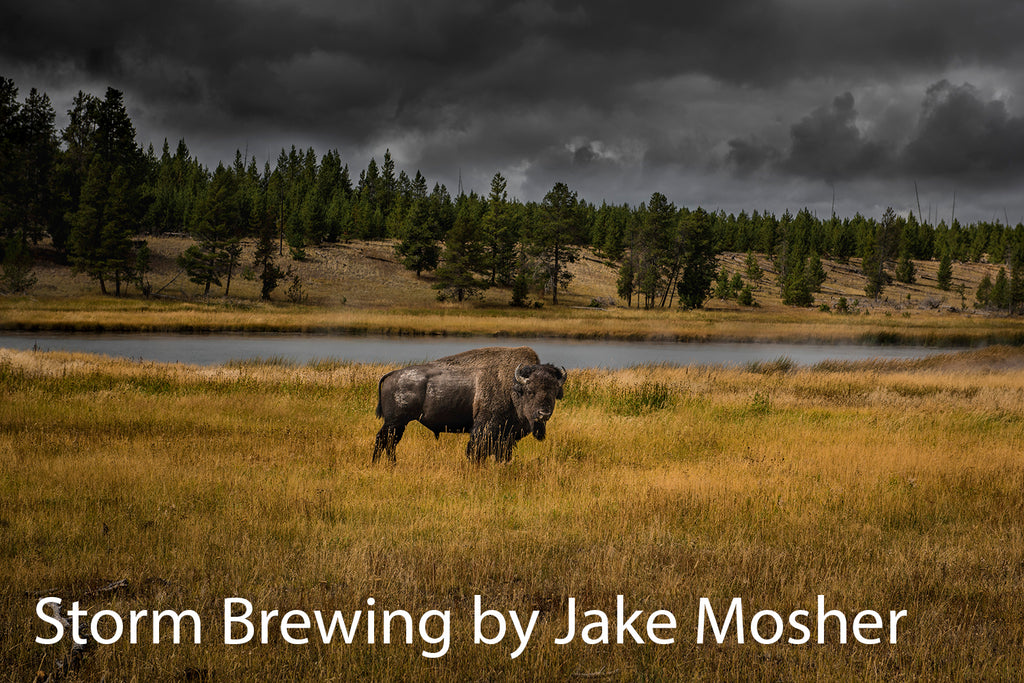 Our-Custom Built, Tailor-Made, Absolutely-Natural Environment