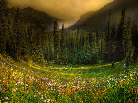 Landscapes