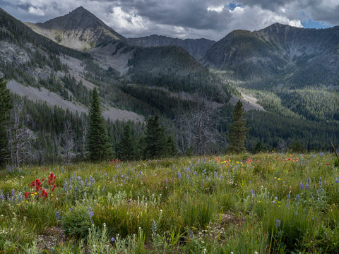 One Crazy Play of Light