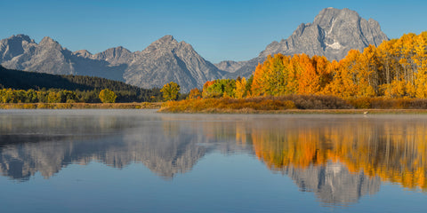 A Visitor at Sunrise