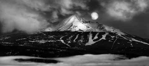 Day and Night in Black and White