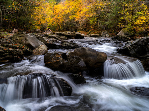 Upstream Into Autumn