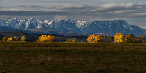 Good Morning, Absaroka