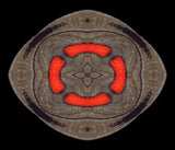 Championship Buckle