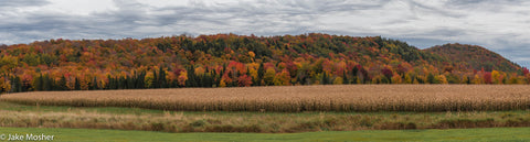 Clouds, Colors, and Corn