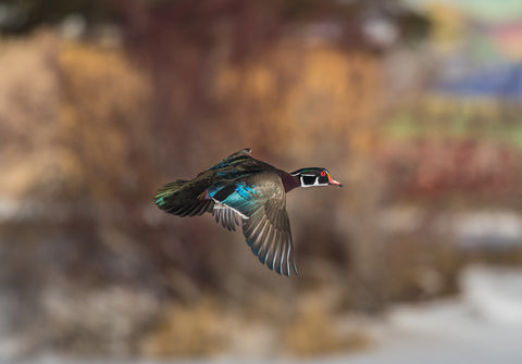 Nature Imitating Art