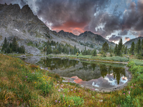 Late Summer Reflections