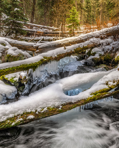 Light On The Darkest Day