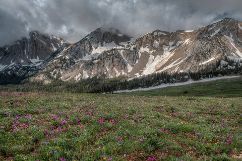 Bridger Mountain Morning