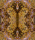 Nature Imitating Nature