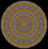 American Painted Lady