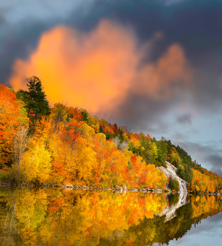 Promise Of A New Day