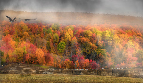 Season of Mists - limited edition