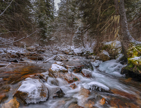 Upstream in November