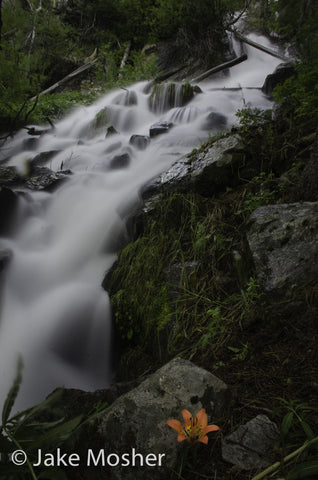 Flower Falls